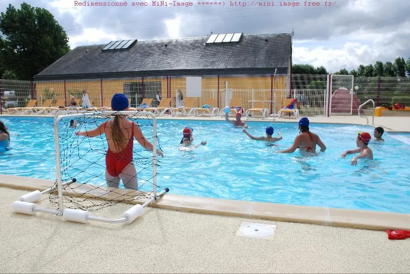 Flower Camping Vitamin