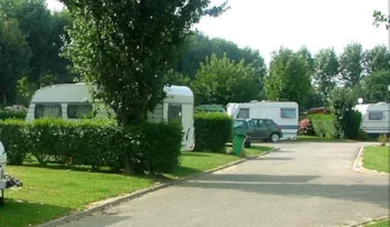 Stellplatz - Stellplatz Wohnmobil + Strom + Fahrzeug - Flower Camping Vitamin