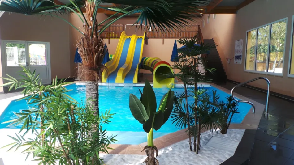 Flower Camping Vitamin