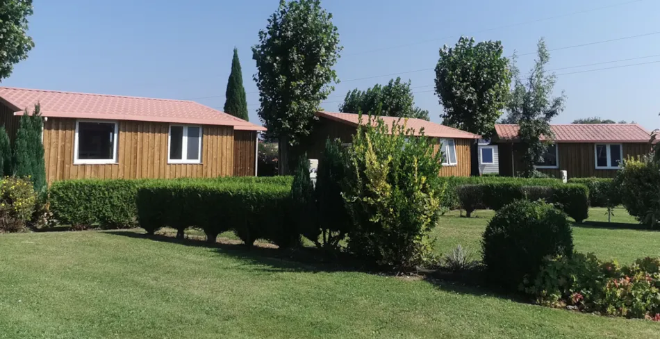 Flower Camping Vitamin