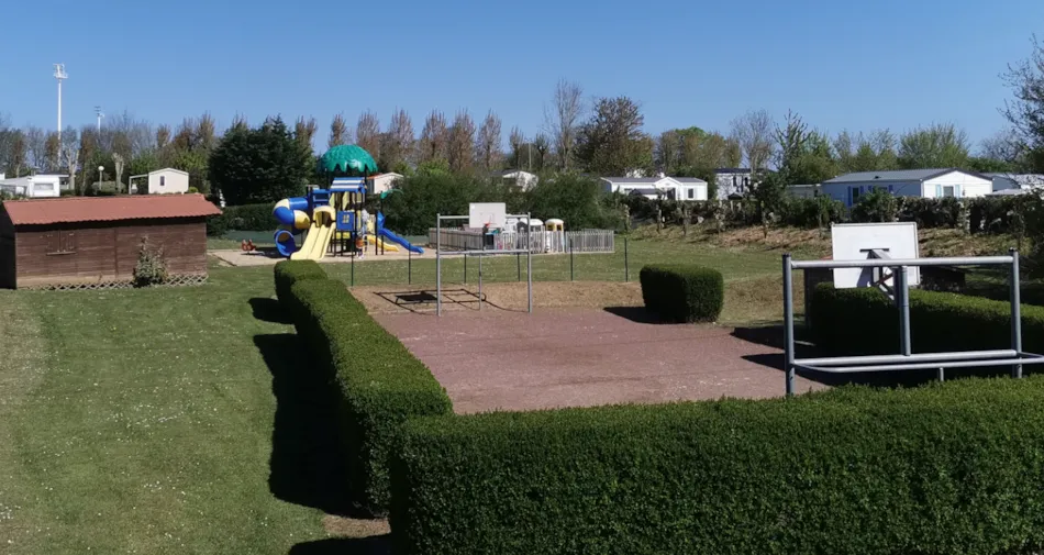 Flower Camping Vitamin