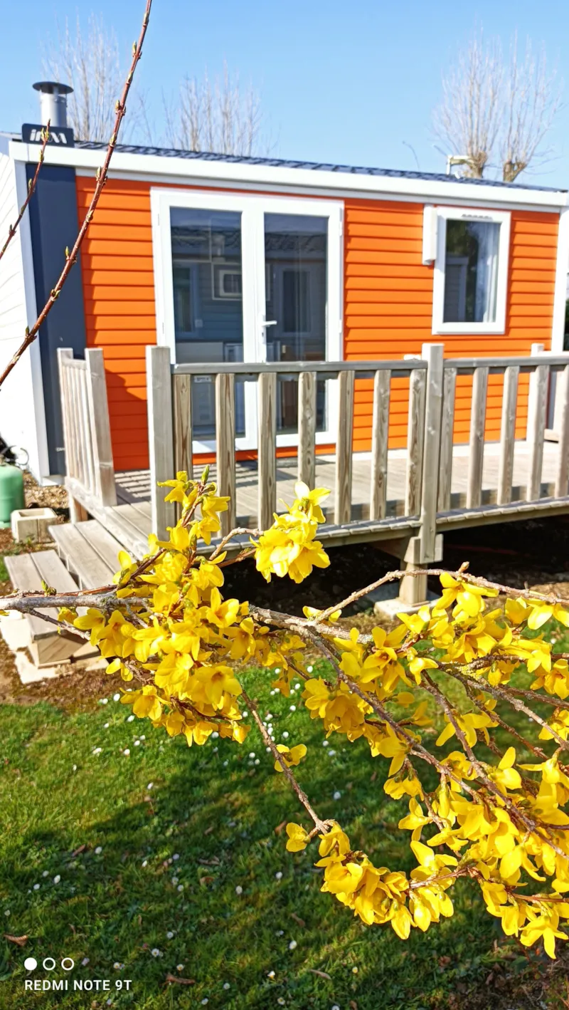 Mobil-Home Standard 18M² (1 Chambre) + Tv + Terrasse