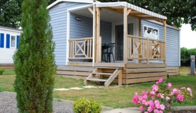 Mobile home Côté Confort 25m² (2 bedrooms) + TV + Terrace + BBQ - Arrived Sunday — 2