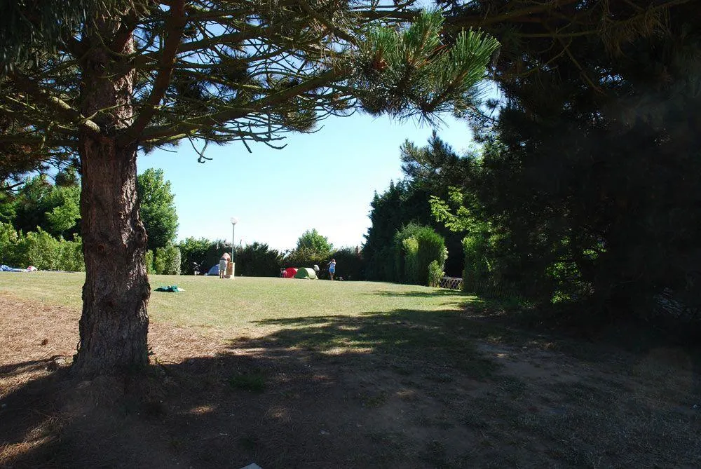 Emplacement - Forfait Confort - Raccordement Électrique + Véhicule - Flower Camping Vitamin