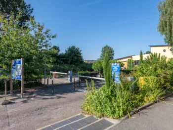 Flower Camping Vitamin - MyCamping