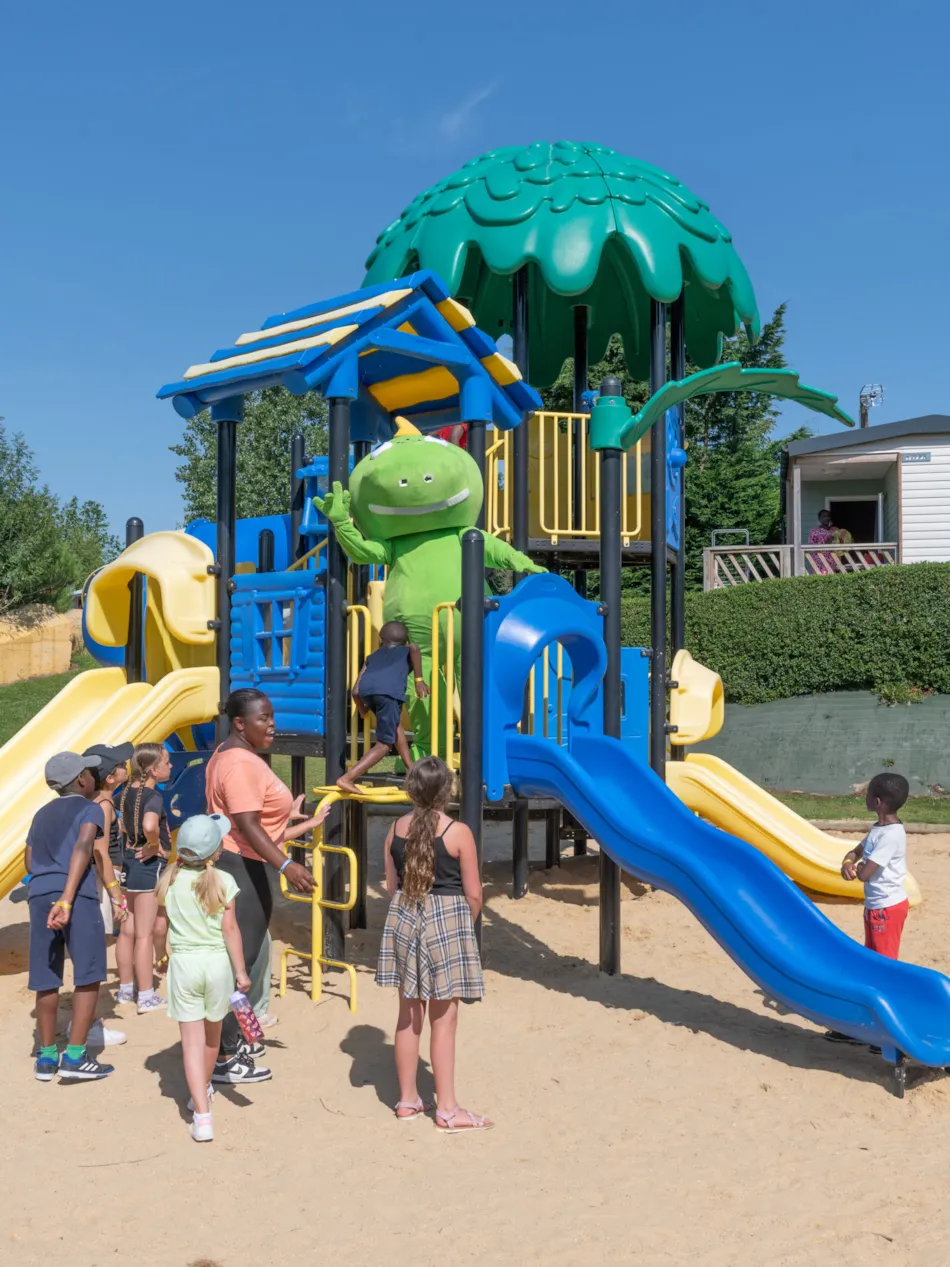 Flower Camping Vitamin