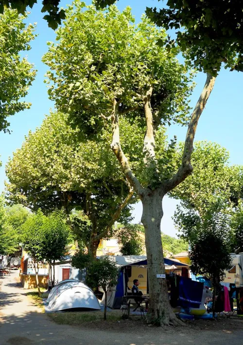 Kampeerplaats(en) - Standplaats: Auto + Tent Of Caravan - image n°6 - Camping Le Pequelet