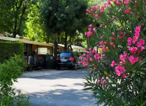 Locatif - Starcaravan met airconditioning - Camping Le Pequelet