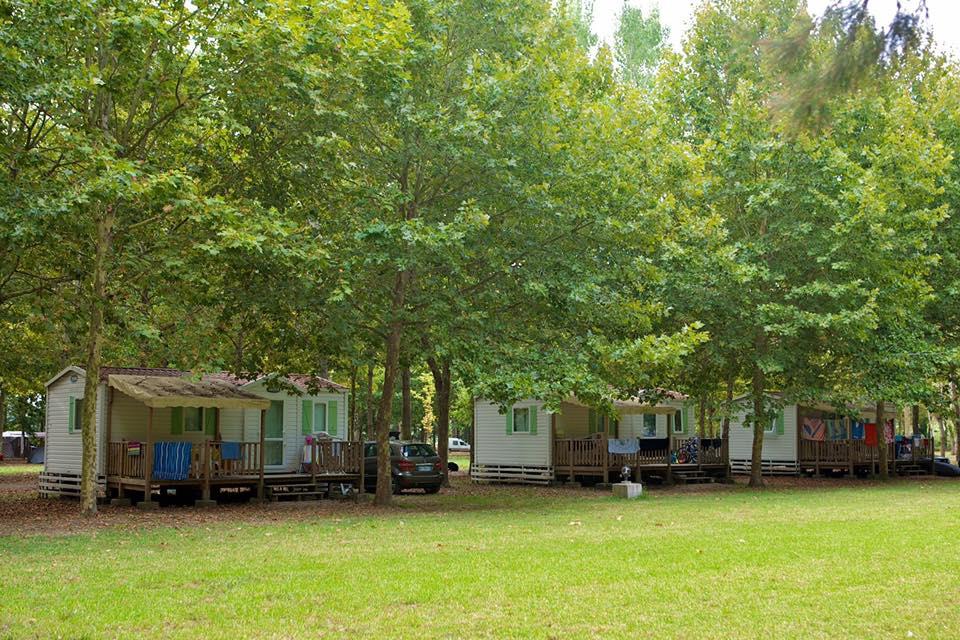 Establishment Camping U Casone - Ghisonaccia