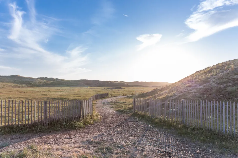 YELLOH! VILLAGE -  LA POMME DE PIN