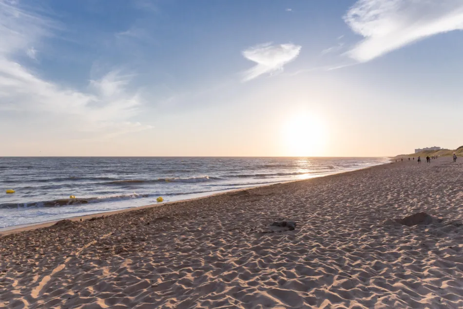 YELLOH! VILLAGE -  LA POMME DE PIN