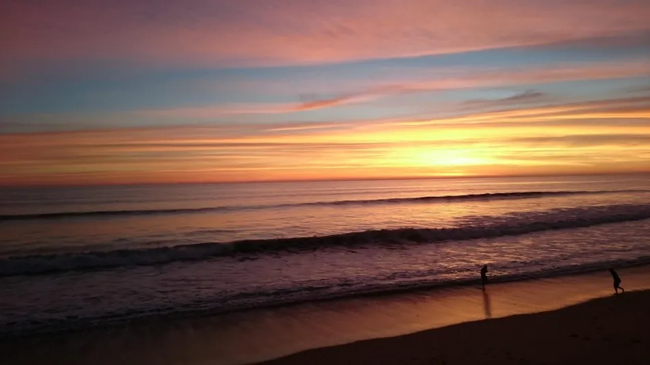 YELLOH! VILLAGE -  LA POMME DE PIN