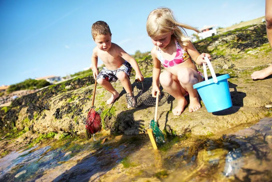 YELLOH! VILLAGE -  LA POMME DE PIN