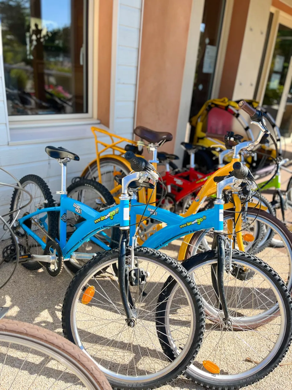 YELLOH! VILLAGE -  LA POMME DE PIN