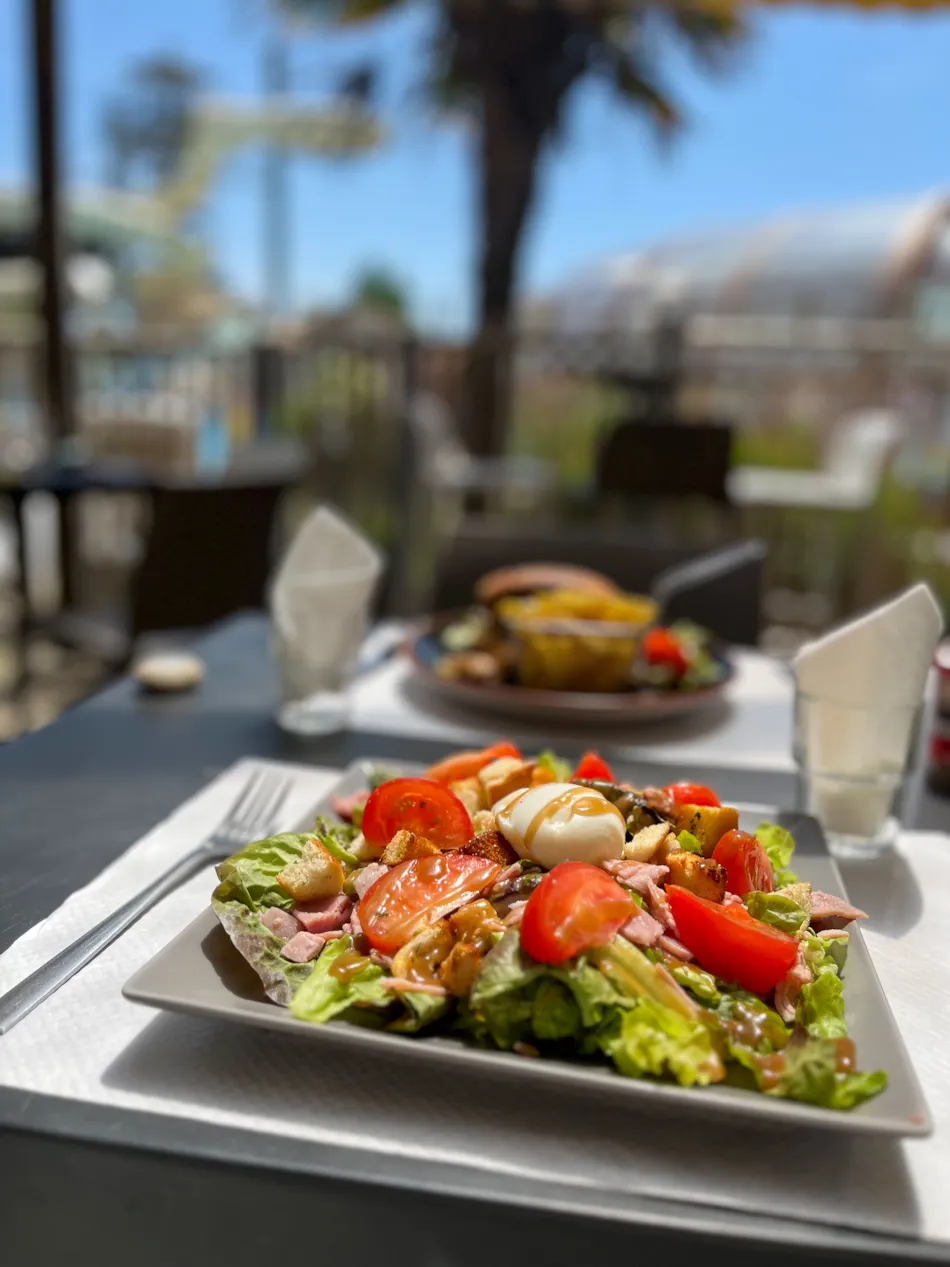 YELLOH! VILLAGE -  LA POMME DE PIN