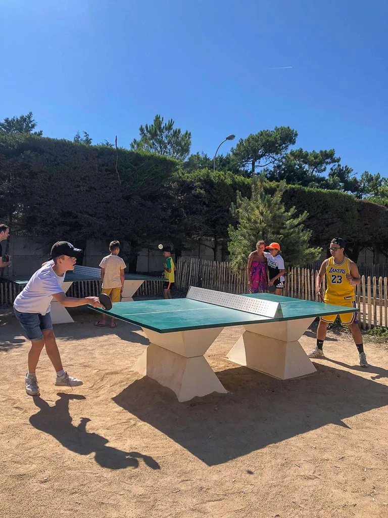 YELLOH! VILLAGE -  LA POMME DE PIN