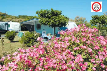 Stellplatz - Stellplatz Confort Maximal 5 Personen (Strom 16A + 1 Fahrzueg Pro Stellplatz) - Camping Merko Lacarra