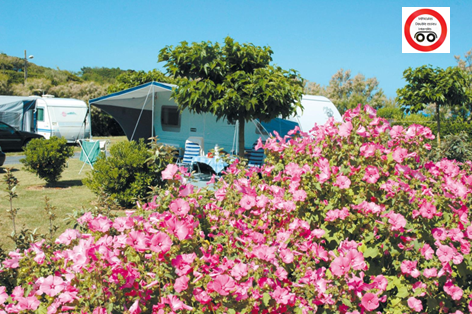 Stellplatz Confort Maximal 5 Personen (Strom 16A + 1 Fahrzueg pro Stellplatz)