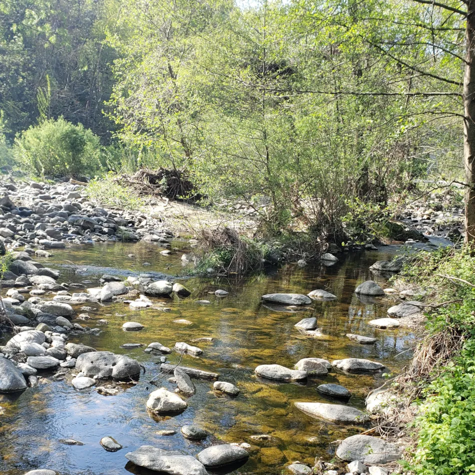 Camping Le Moulin d'Onclaire