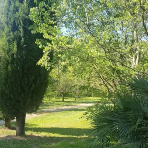 Emplacement - Pitch, tent , caravan or camping-car - Camping Le Moulin d'Onclaire