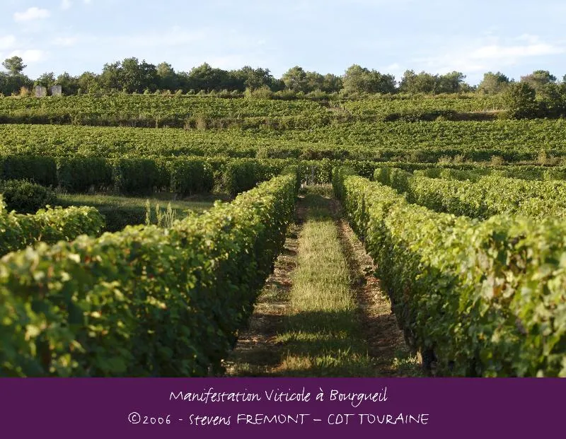 Camping Paradis L'Arada Parc - image n°60 - UniversalBooking