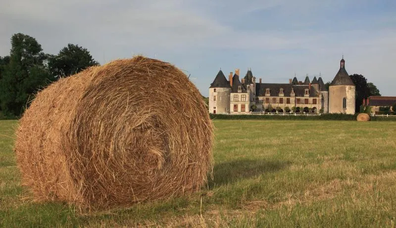 Camping Paradis L'Arada Parc - image n°65 - UniversalBooking