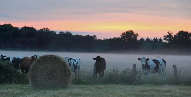 Camping Paradis L'Arada Parc - image n°66 - UniversalBooking