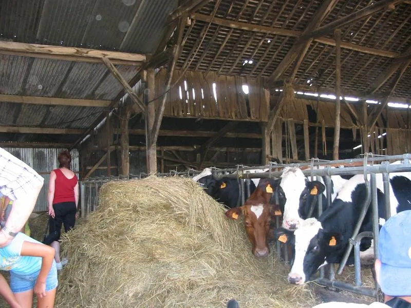 Camping Paradis L'Arada Parc