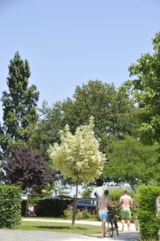 Foto #33 van Camping Paradis L’Arada Parc