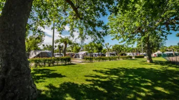 Stellplatz - Stellplatz Premium Plus - Baia Holiday Gasparina