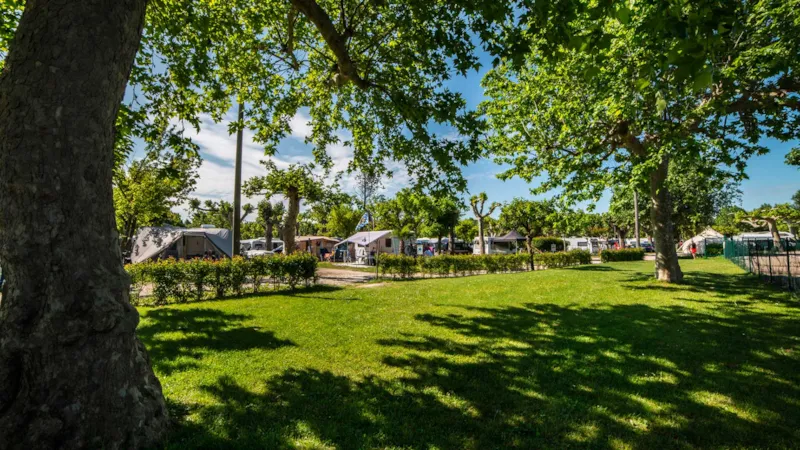 Emplacement Premium Plus