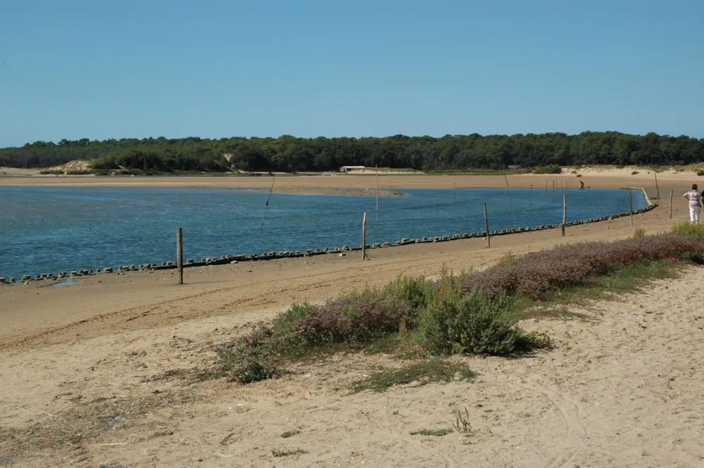 Capfun - Camping Le Curtys'