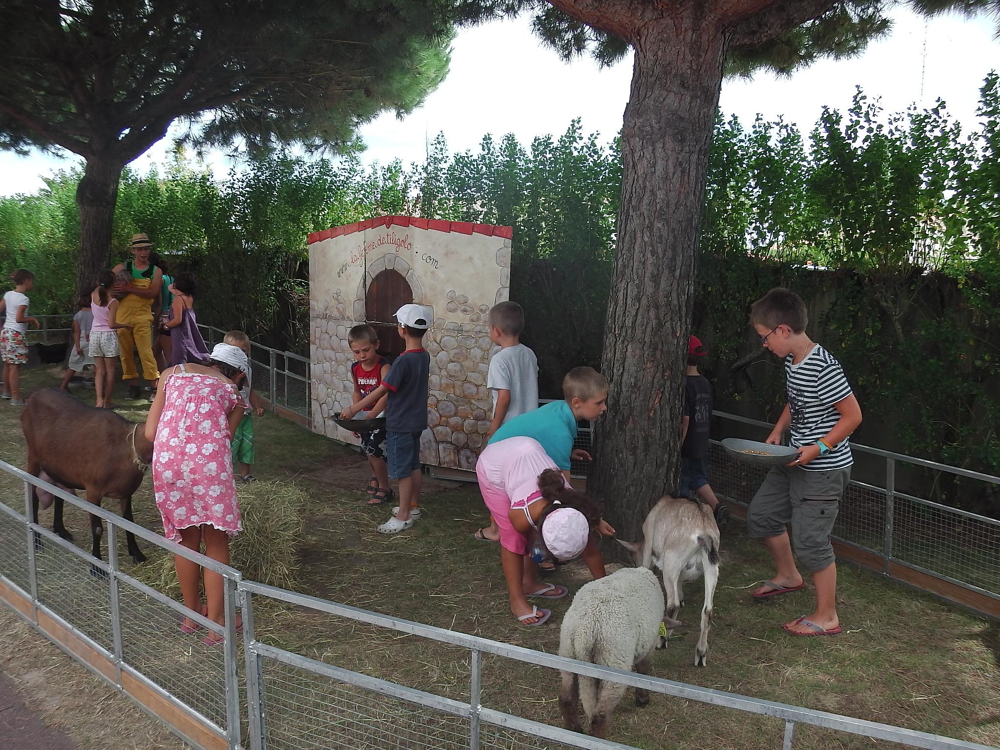Entertainment organised Capfun - Camping Le Curtys' - Jard Sur Mer