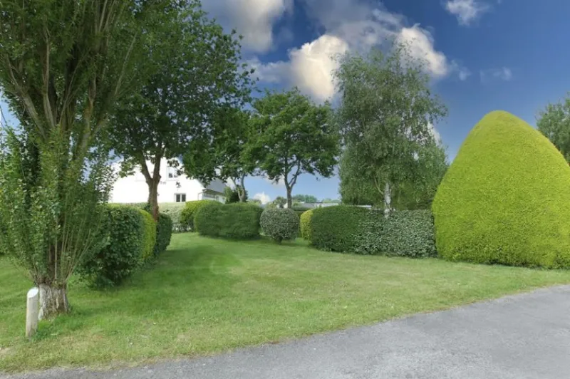 Emplacement Nu Avec Électricité