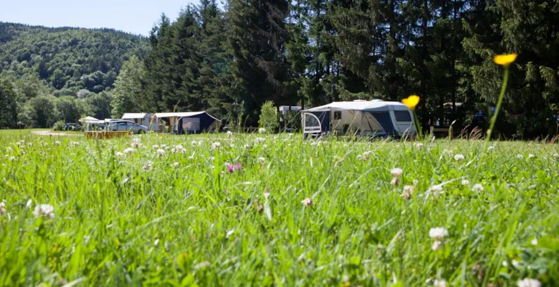 Emplacement Privilège Panoramique 4*