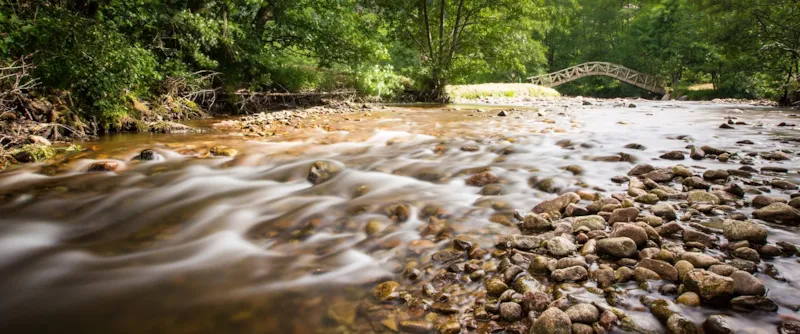 Emplacement Privilège Panoramique 4*