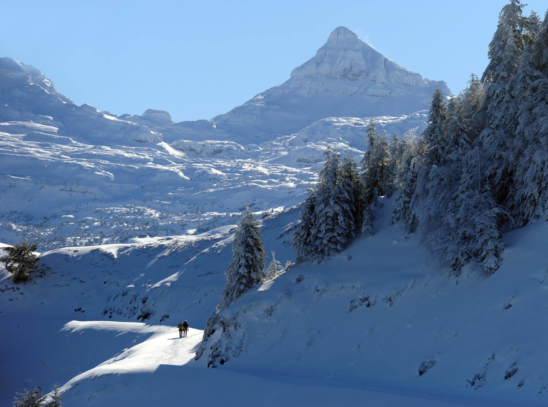 Camping Barétous-Pyrénées — Foto 7