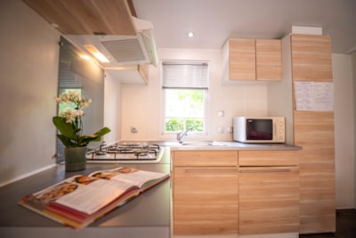 Mobile-home Tribu 2 bedrooms — 4