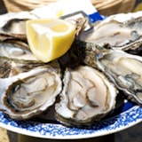 Foto #33 van Camping Resort Les Champs Blancs