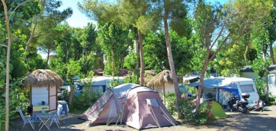 CAMP-SITE PITCH WITH PRIVATE SANITARY — 3