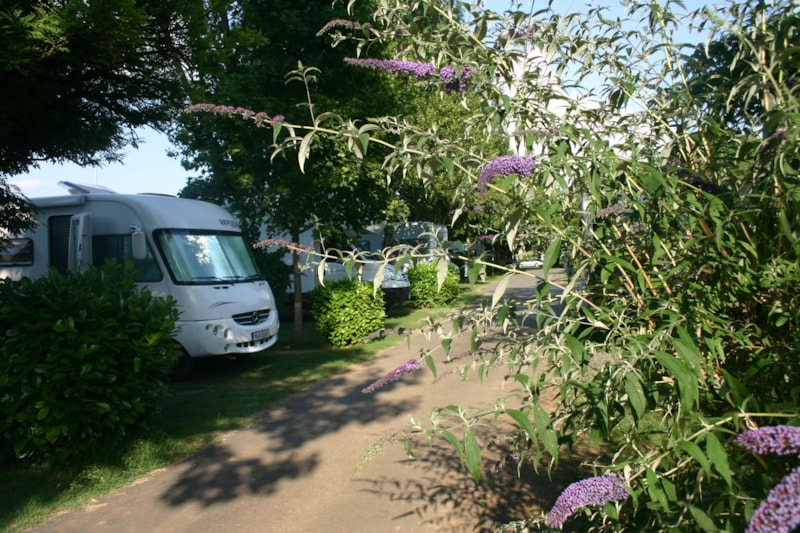 CONFORT Formule (1 tent, caravan of camper / 1 auto / elektriciteit 12A) + Wateraansluiting en afvoer