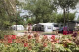 Foto #7 van Camping Mas Nou