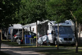 Stellplatz - Stellplatz Standard Wagen Zelt/Wohnwagen - - Villaggio Camping Adria