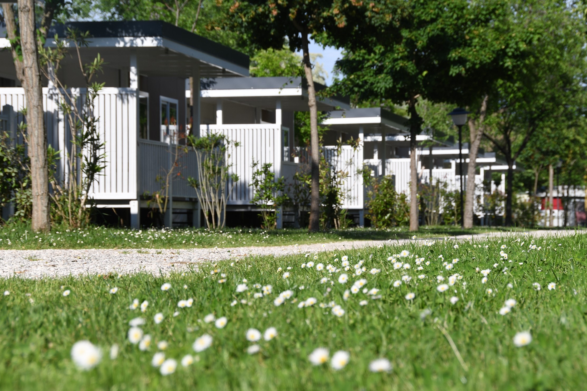 Villaggio Camping Adria — Photo 7