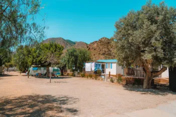 Stellplatz - Gross Stellplatz Mit Strom Und Wasser - Camping El Portus