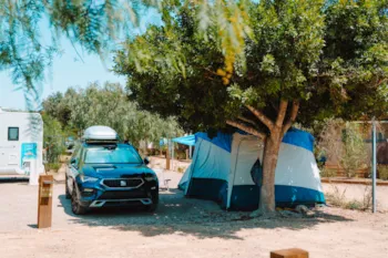 Stellplatz - Standard Stellplatz Mit Strom Und Wasser Nur Für Campingzelte - Camping El Portus