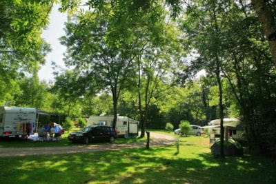 Confort Pitch
