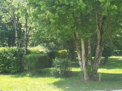 Confort Pitch