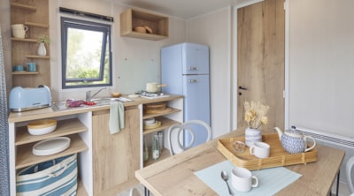 Cabane 20m²