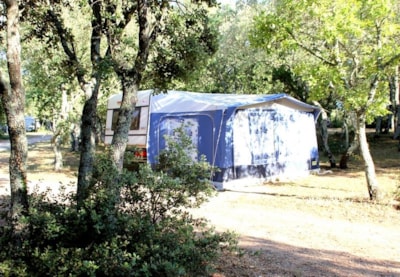 PITCH (Car Caravan/ Camping car or Tent) + electricity 10 AMP + 2 Persons — 1